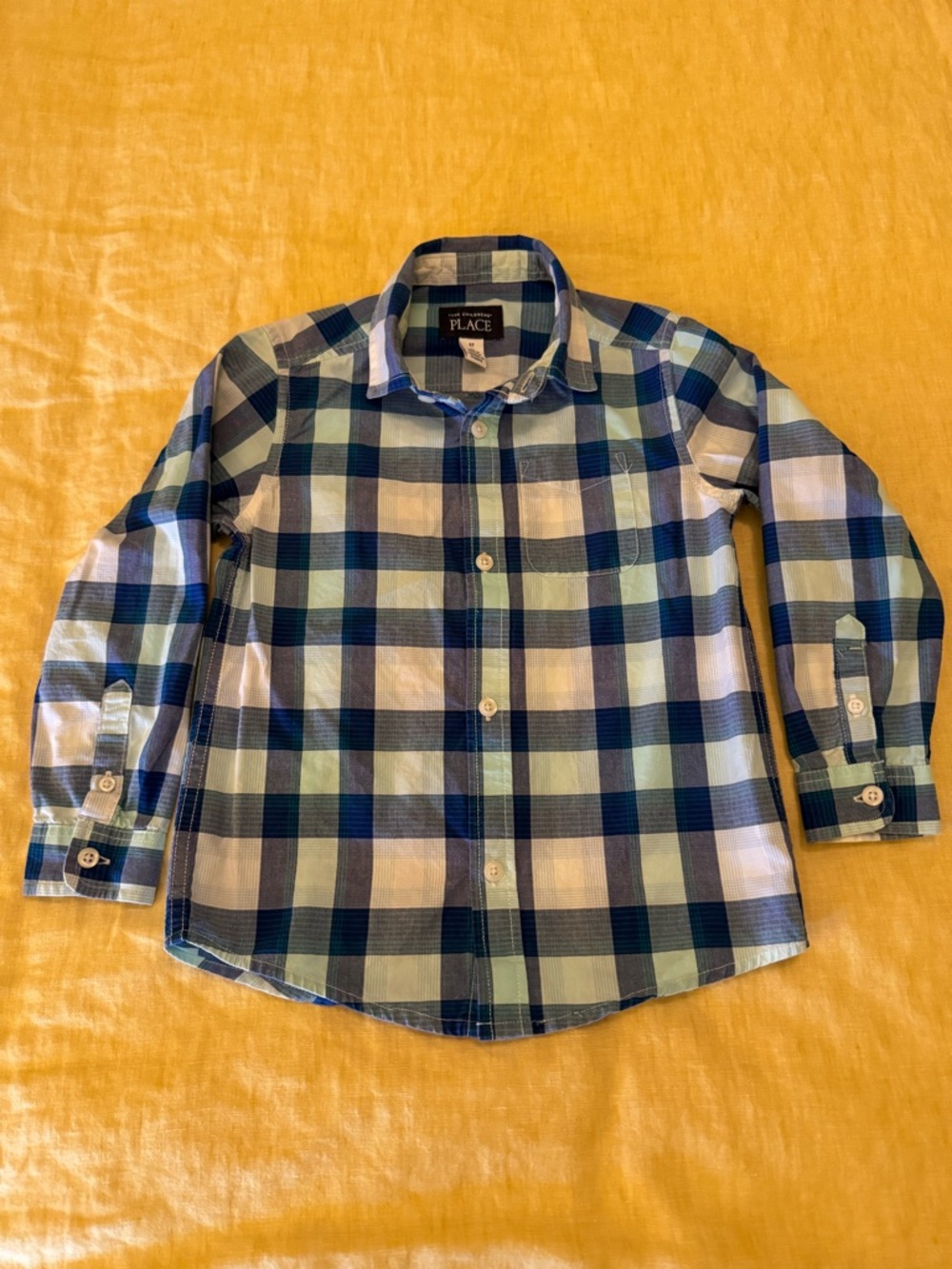 The Children's Place Blue Plaid Button-Down Shirt